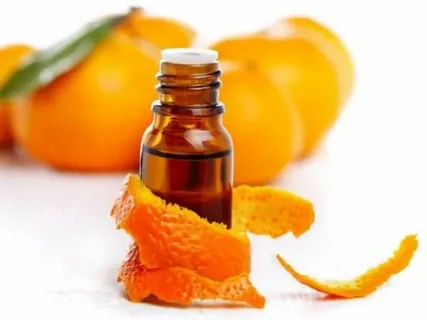 تصویر 3 از قیمت اسانس طبیعی هل + خرید باور نکردنی